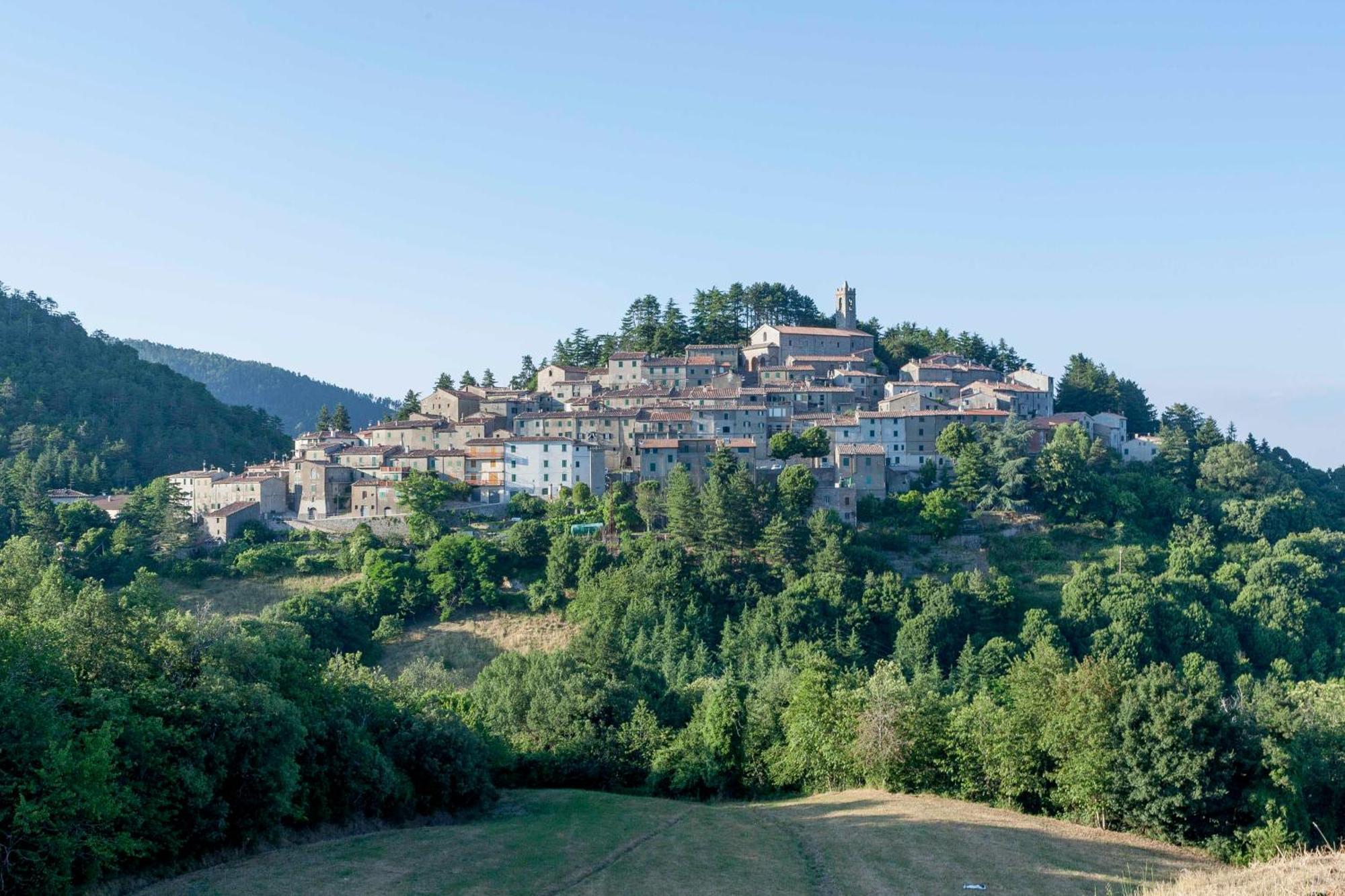 La Casina Di Pia Apartment Montieri Luaran gambar